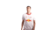 Red Bull Rbl Sticker by RB Leipzig