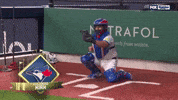 Blue Jays Sport GIF by MLB
