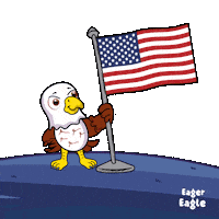Usa Flag Sticker by VeeFriends