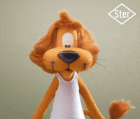 Sterreclame yes you did it sterk goed gedaan GIF