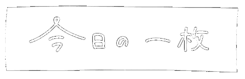 ほわいと Sticker