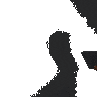 Teamnl Shorttrack Sticker by Shapevisions