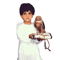 Dubai Falcon Sticker