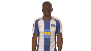 Hertha Bsc Football Sticker by Bundesliga