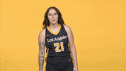 Division Ii Sport GIF by Cal State LA Golden Eagles