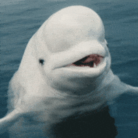 Nerd Deal With It GIF by NerdWallet