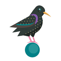 Bird Starling Sticker by RSPB