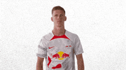 Football Soccer GIF by RB Leipzig