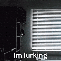 Racket Watching GIF