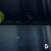 Discovery Channel Travel GIF by Shark Week