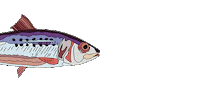 luzgga summer beach ocean fish Sticker