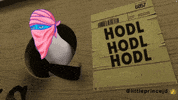 rugradio hodl rr bullish cvl GIF