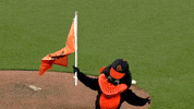 Mascot Oriole Bird GIF by Baltimore Orioles
