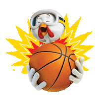 Nba Nuggets Sticker by brfsadia