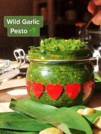 GIF by charrli_refill