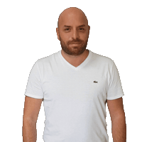 Haimor Sticker by Or Realestate