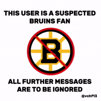 Boston Bruins GIF