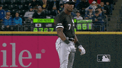 Major League Baseball Sport GIF by MLB