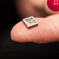 GIF by British Heart Foundation