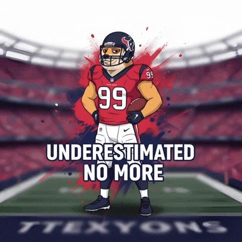 Houston Texans Football GIF by Doge Pound