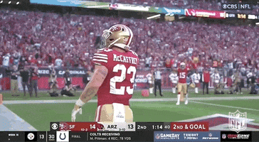 San Francisco 49Ers Football GIF by NFL