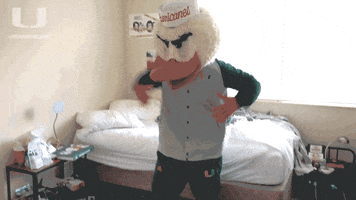 stretching college football GIF by Miami Hurricanes