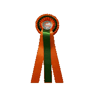 Vianen Sticker by Paardenmarktvianen