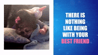 Being Best Friends