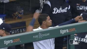 Happy Sport GIF by Detroit Tigers