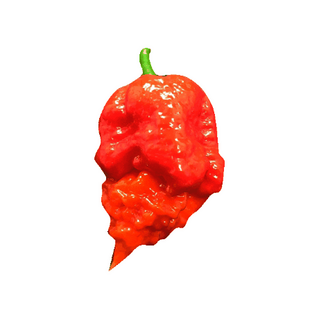 PepperMerchant  Sticker
