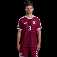Fifa World Cup Qatar GIF by Respective