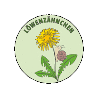 kitaweinbergschnecke weinbergschnecke kitaweinbergschnecke löwenzähnchen Sticker