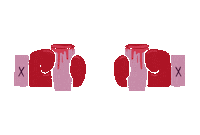Fight Drinking Sticker by Messorem Bracitorium