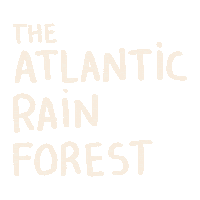Forest Atlantic Sticker by Pipe Content House
