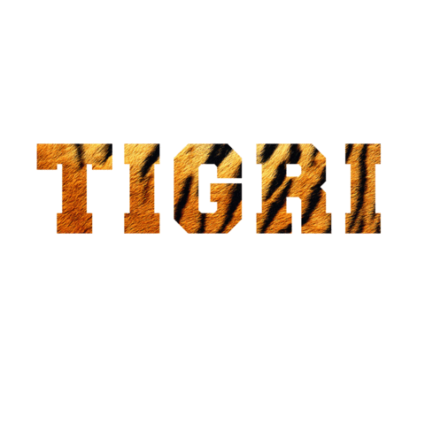 educaÃ§Ã£o Sticker by Tigrinhos e Golden Tigers