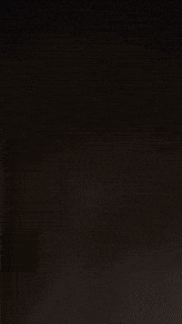 Wbb GIF by Youtooz