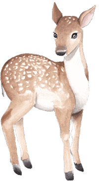Miloomi forest las sarna miloomipl Sticker