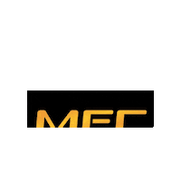 MULTIFIGHTCLUB fighter armenia mfc petrosyan Sticker