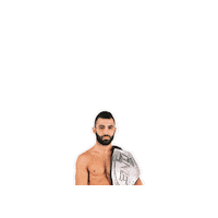TeamPetrosyan fight mma kick one Sticker