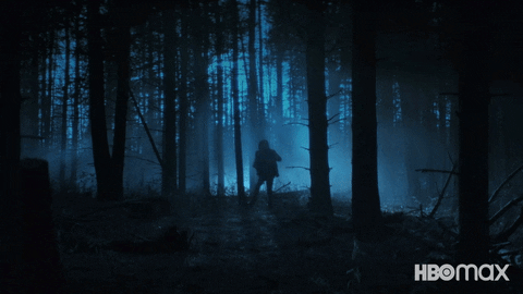 Running Away Crime Fighters GIF by HBO Max