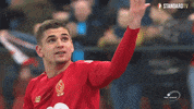 celebration romania GIF by Standard de Liège