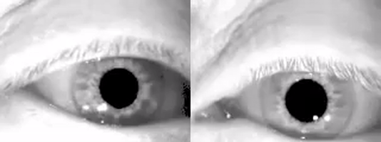 Ð½Ð¸ÑÑÐ°Ð³Ð¼ GIF