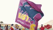 MSUTexas flag college university msu GIF
