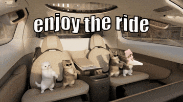 Trip Enjoy GIF by Verne Robotaxi