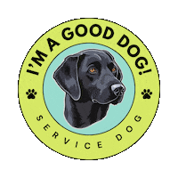 Gdsc Sticker by GoodDogAutism