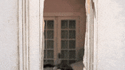 Shining Hi Mom GIF