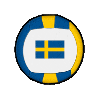 Ball Europe Sticker by Swiss Dodgeball
