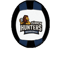 Zurich Suisse Sticker by Swiss Dodgeball