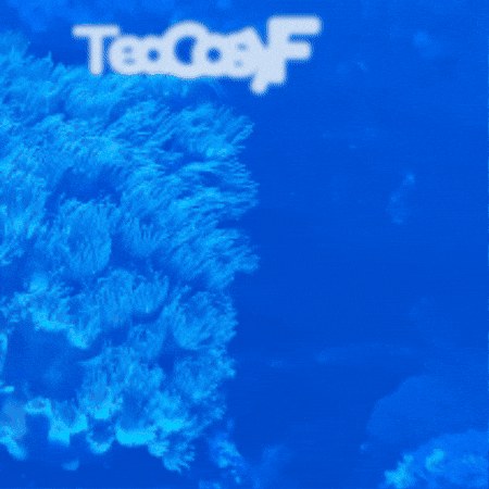 Easter Dinosaur GIF by TeaCosyFolk