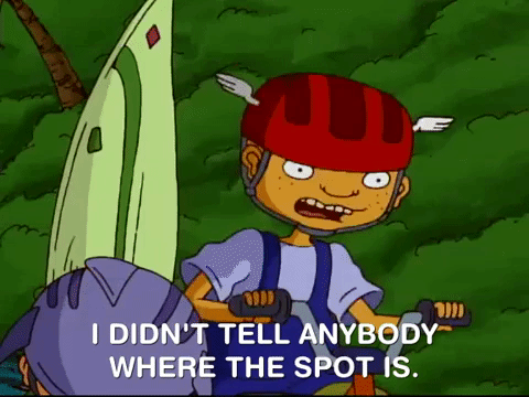 rocket power nicksplat GIF